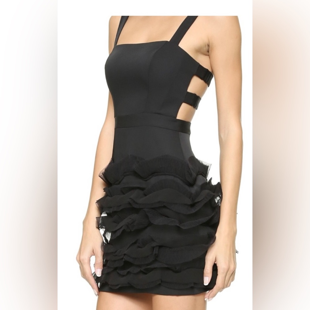 BCBG Rebecka Dress NWT! size 4